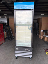 CES Single Glass Door Freezer (13 Cubic Feet)