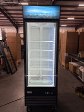 CES Single Glass Door Freezer (13 Cubic Feet)