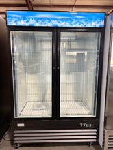 CES Double Door Ice Merchandiser